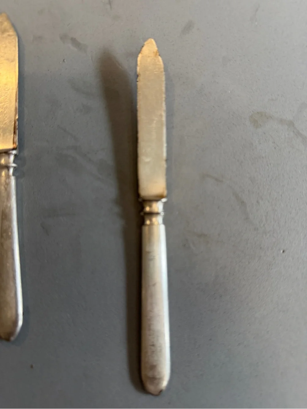 Set of 4 Classic Stainless Steel Butter Spreaders in Silver